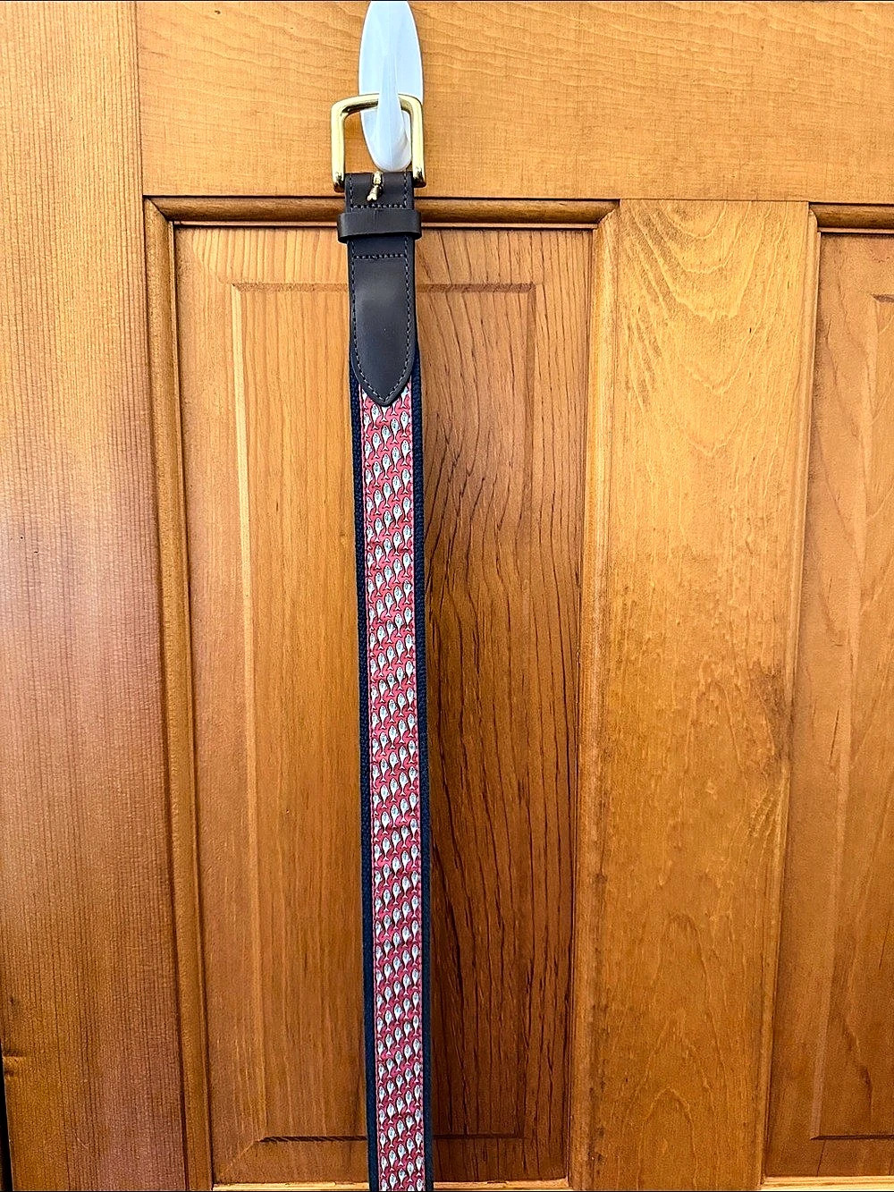 Vineyard Vines Canvas Club Belt in Red & Blue
